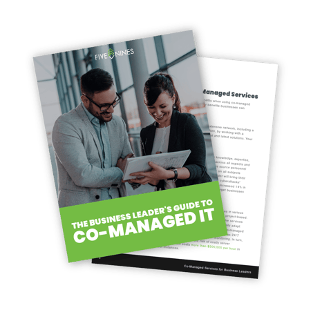 The Business Leader's Guide to Co-Managed IT The Business Leader's Guide to Co-Managed IT